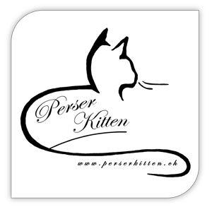 Perserkitten Our Kitties - Your best Friends